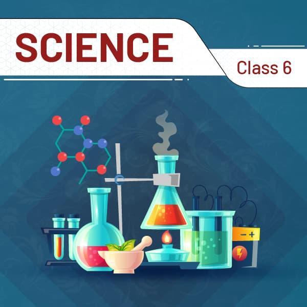 Science And Technology (Class 6) @ 1 Year