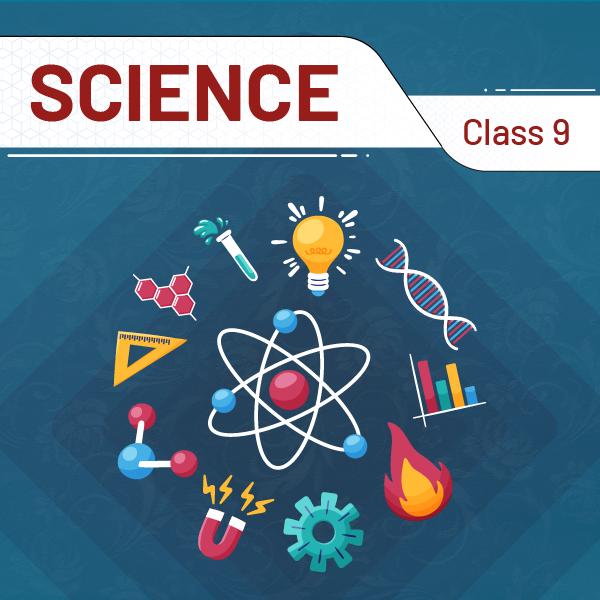 Science And Technology (Class 9) @ 1 Year
