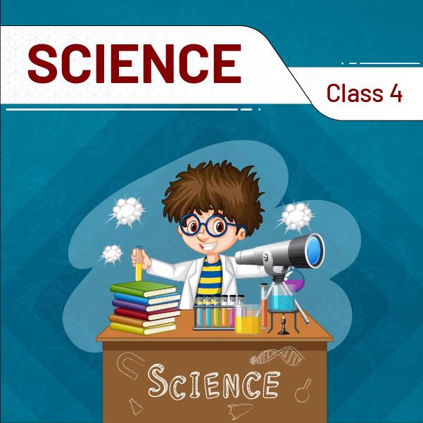 Science And Technology (Class 4) @ 1 Year