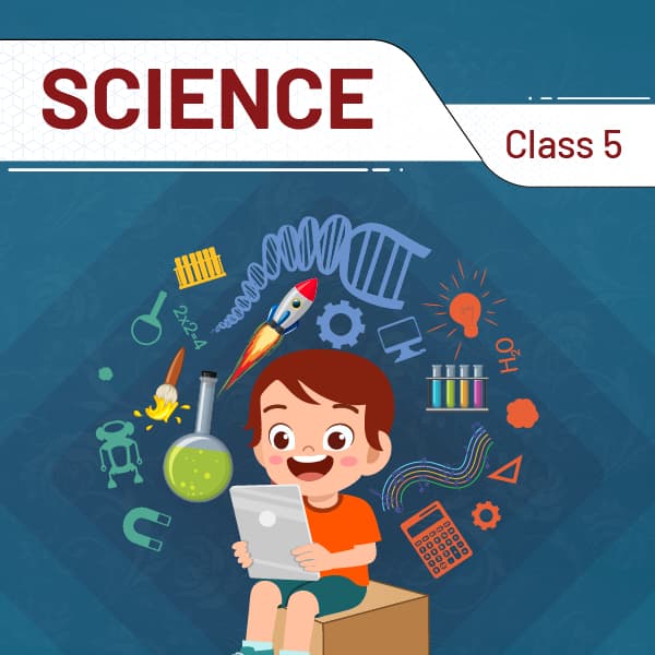 Science And Technology (Class 5) @ 1 Year