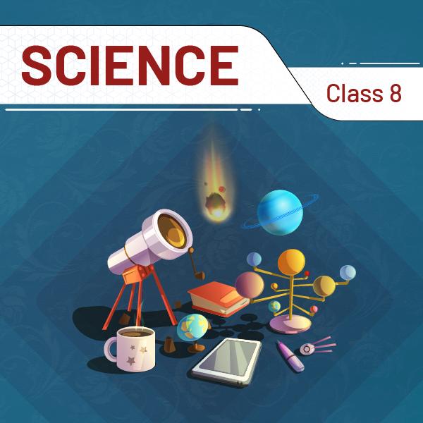 Science Class 8
